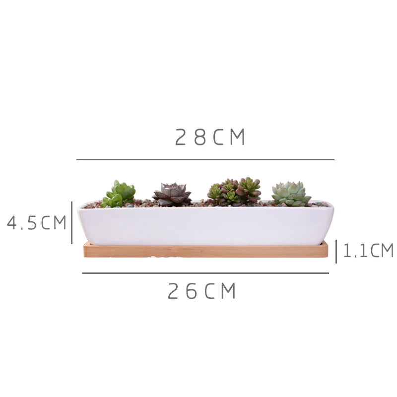 biophilie vegetal composition styled dimensions