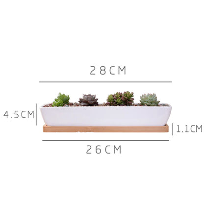 biophilie vegetal composition styled dimensions