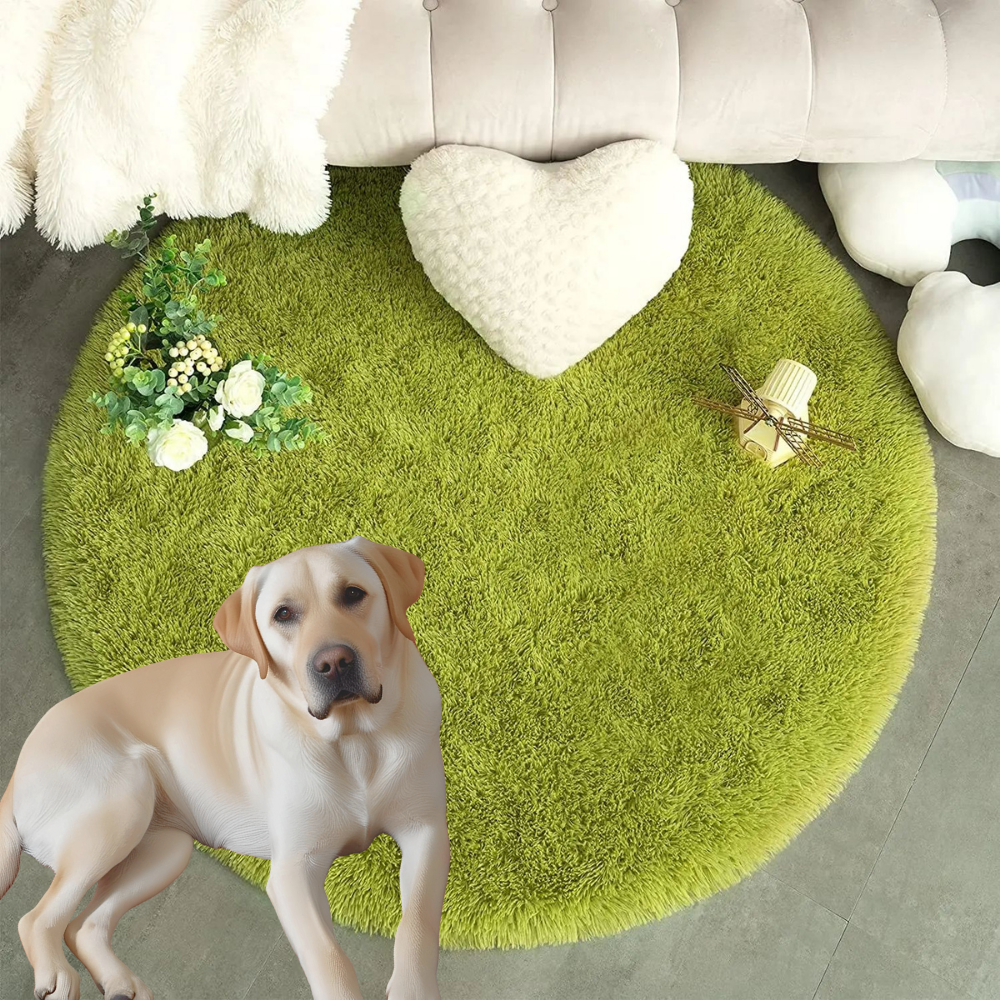 tapis-chambre-fille-moderne