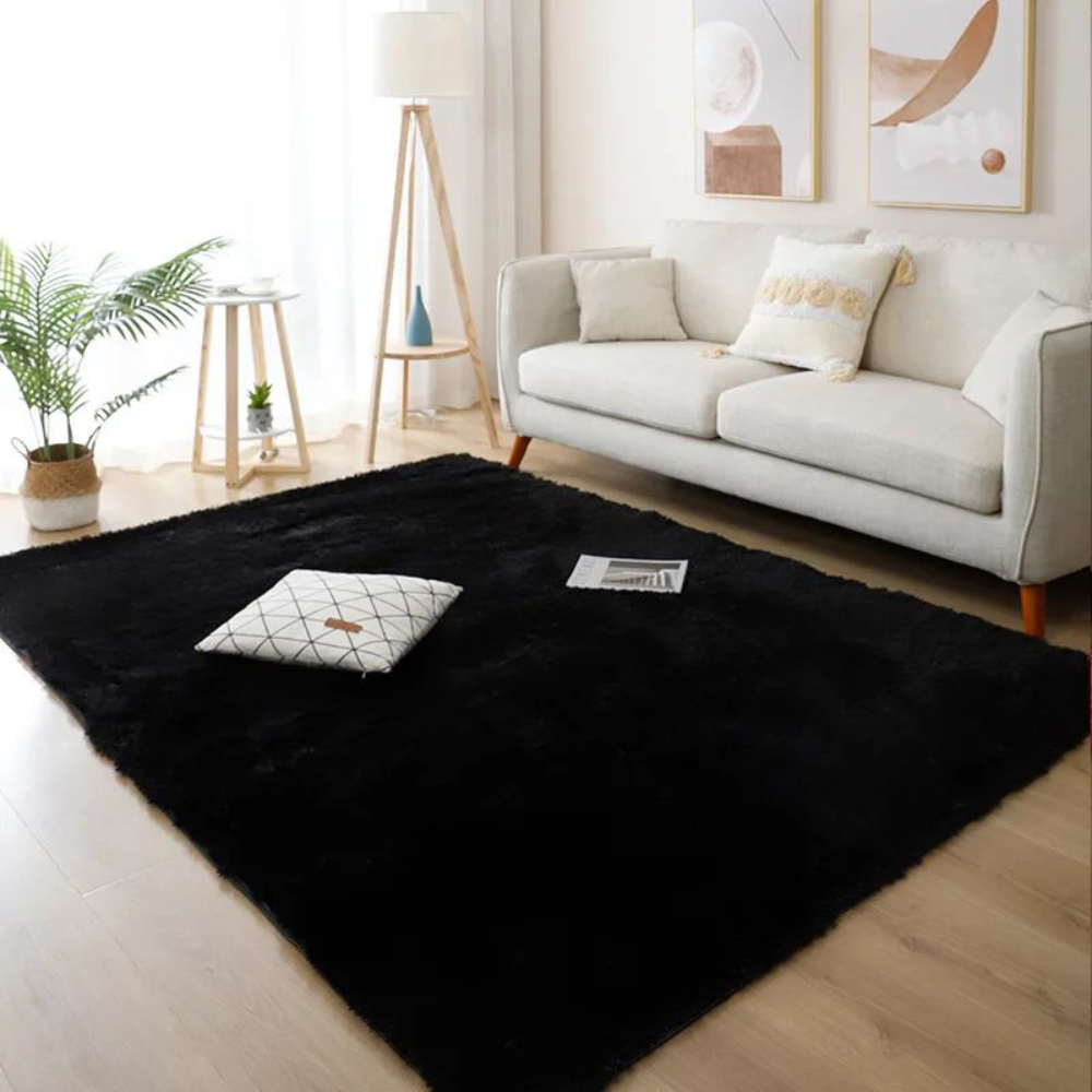 tapis-de-salon-aspirable