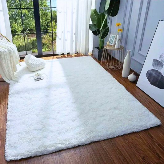 tapis-de-salon-chaleureux