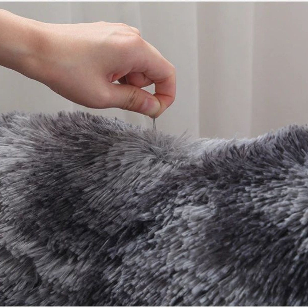 tapis-de-salon-fibres-douces