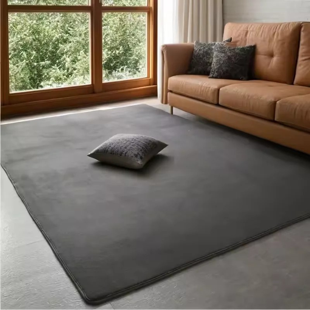 tapis-moderne-salon-confortex