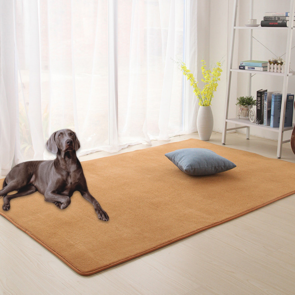 tapis-moderne-salon-poils-courts